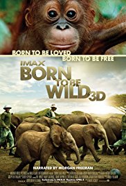 Born to Be Wild Movie Poster