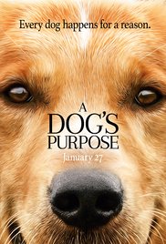 a s purpose redbox dvd release date a s purpose 2017 netflix redbox a s purpose redbox dvd release date a s purpose 2017 netflix redbox