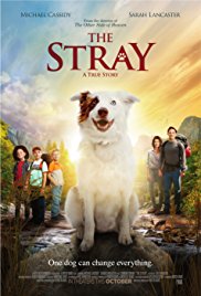 The Stray released on dvd on 6 February, 2018.