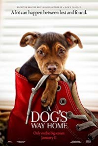 A Dog's Way Home is a [xfvalue_year] adventure, family movie released on dvd on 9 April, 2019.